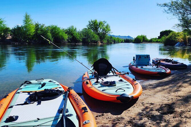 Rent a Paddle Board And Float the Lower Salt River - Key Points