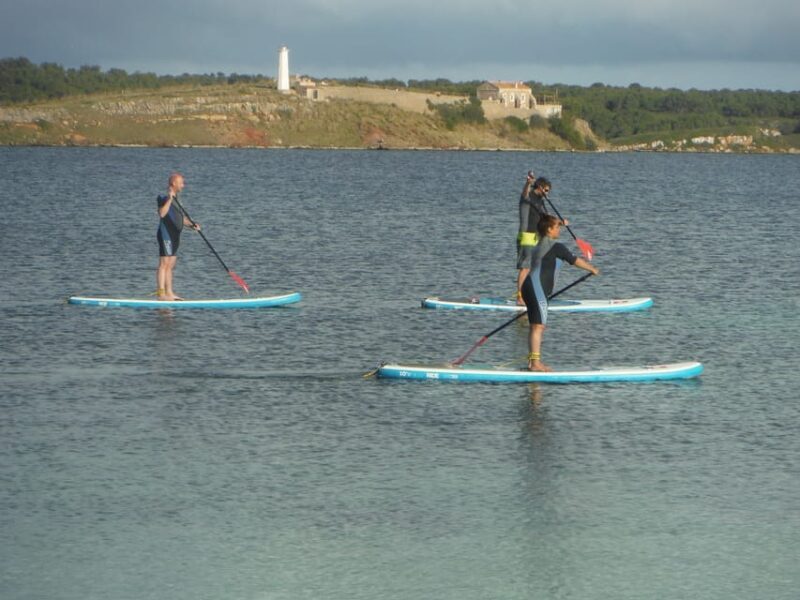 Rent A Stand Up Paddle - Who Should Consider This Experience?