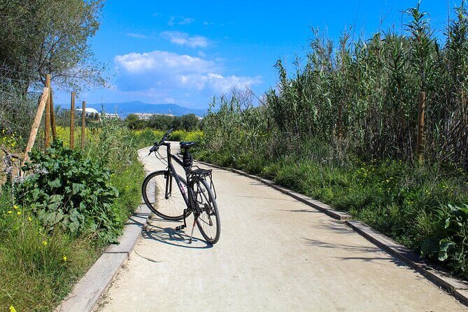 Rent a Trekking bike: Full Day 24 hours - Real Traveler Insights