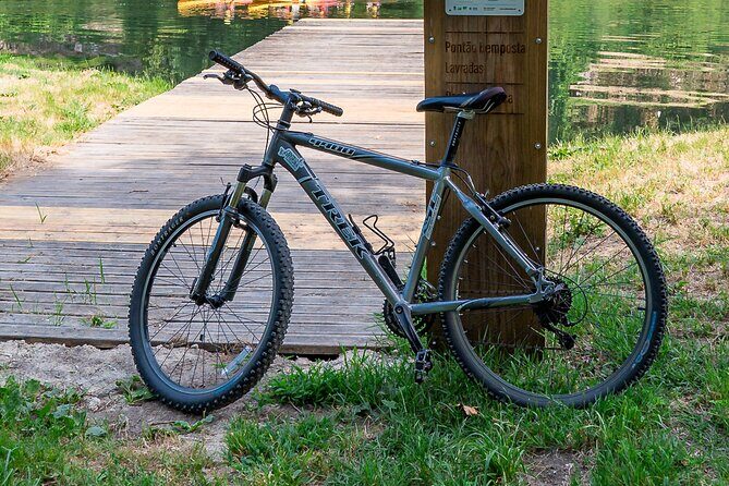Rent Bikes / E-Bikes - Exploring Braga’s Scenic Trails on Two Wheels