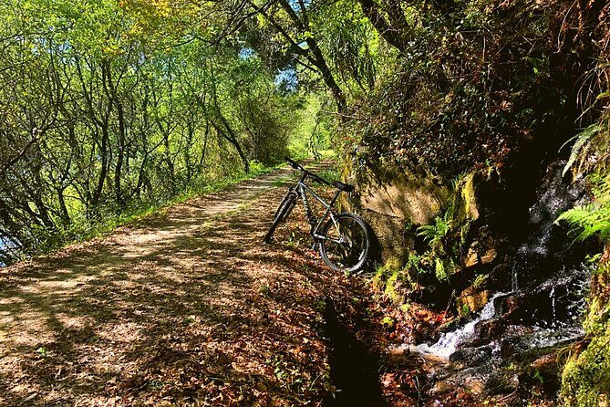Rent Bikes / E-Bikes - Deep Dive into the Bike Rental Experience