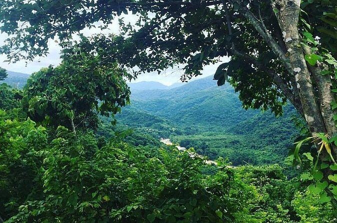 Rent DE mountain bikes - A Closer Look at the Mountain Bike Experience in Huatulco