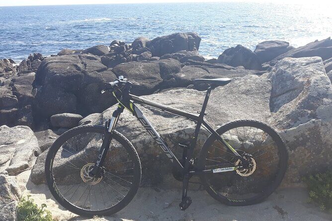 Rent mountain bike for bike path old railway to Famalicão - The Practicalities of Bike Rental and Logistics