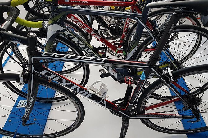 Rent road bike - Rent a Road Bike in Palermo: An Independent Way to Explore