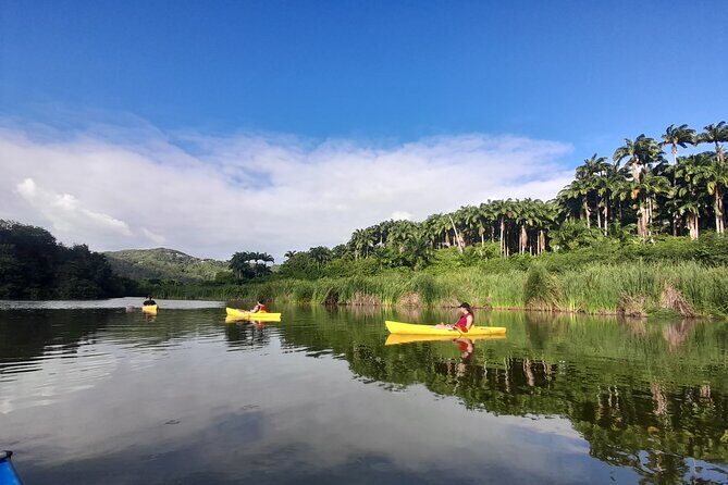 Rental Kayaking or Stand-up Paddle 2H - Discovering Guadeloupe’s Mitan Pond by Kayak or Stand-Up Paddle