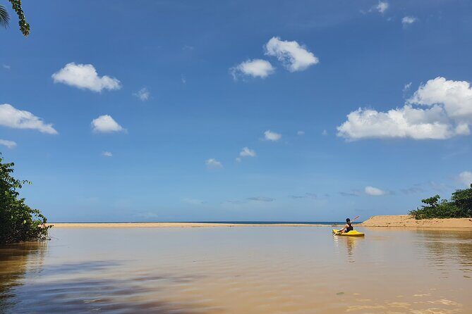 Rental Kayaking or Stand-up Paddle 2H - An In-Depth Look at Your Paddling Adventure in Guadeloupe