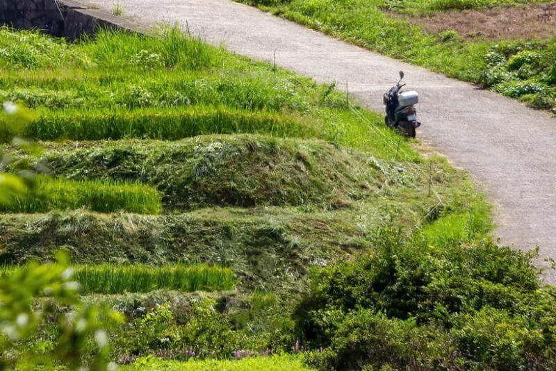 Rental Motorcycle Tour in Kyoto: Arashiyama & West Temple - Key Points