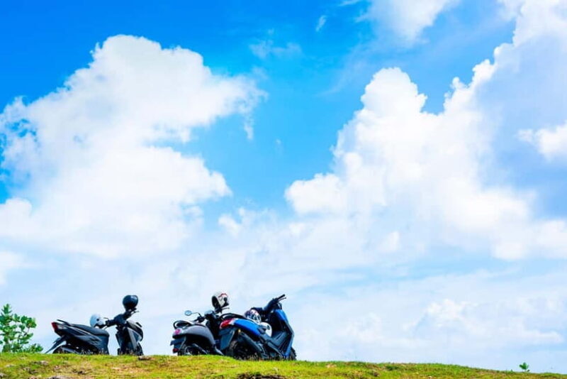 Rental Motorcycle Tour in Kyoto: Arashiyama & West Temple - What to Expect and Practicalities