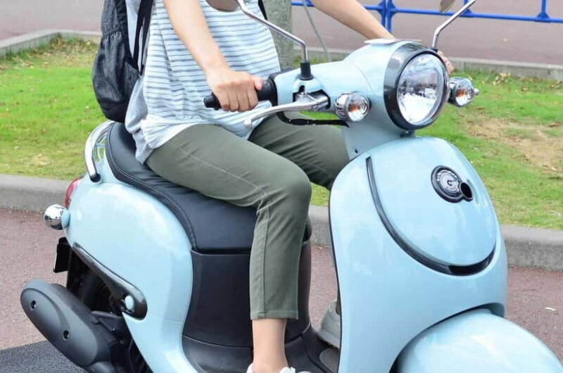 Rental Motorcycle Tour in Kyoto: South & East Heritage - Key Points