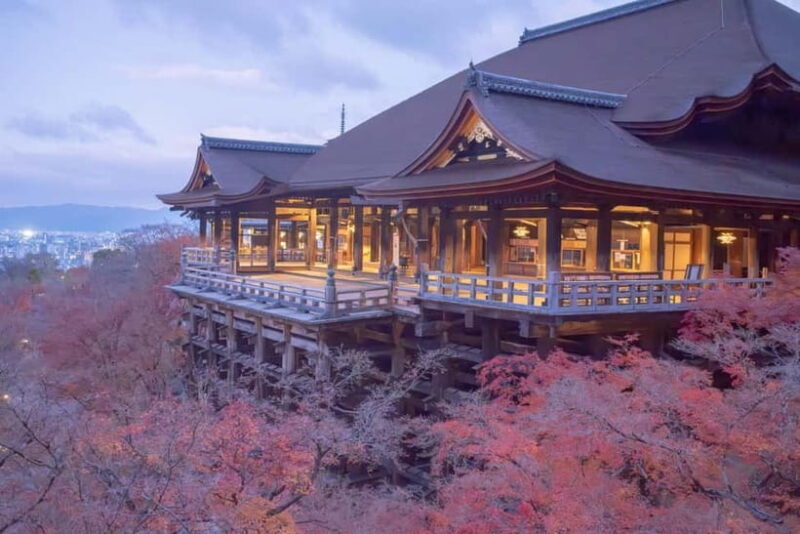 Rental Motorcycle Tour in Kyoto: South & East Heritage - Who Will Love This Tour?