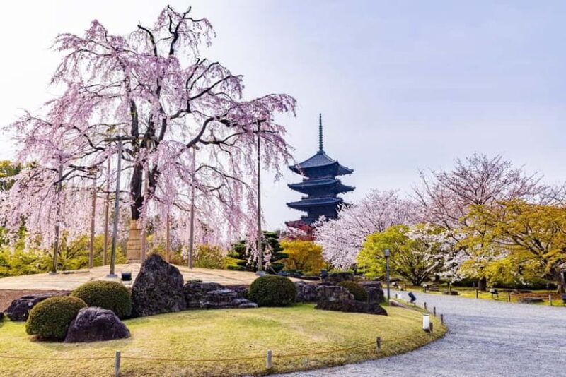 Rental Motorcycle Tour in Kyoto: South & East Heritage - Final Thoughts