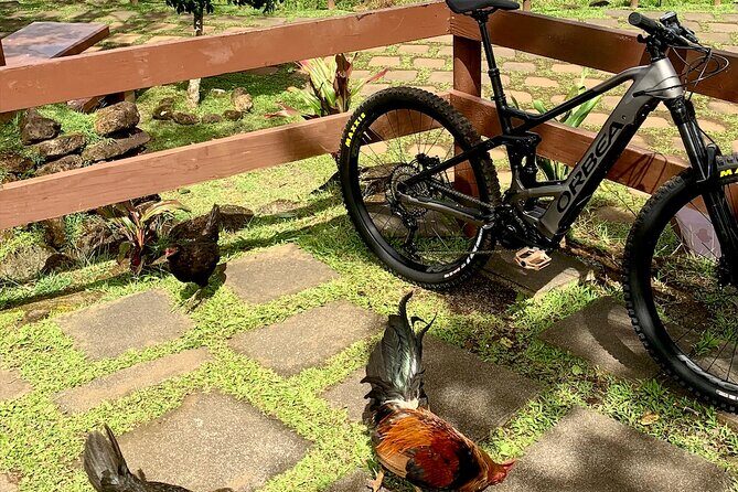 Rental of an Electric Mountain Bike on the Tahiti Peninsula - Who Is This Tour Best For?