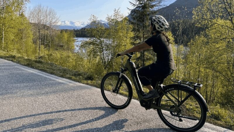 Rentals | E-Trekking Bike - FAQs