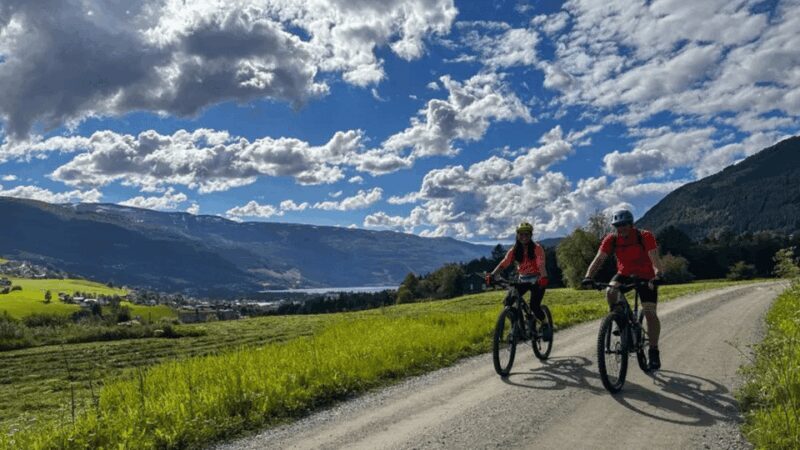 Rentals | Mountain Bike - Full Suspension - Why Choose This Experience?