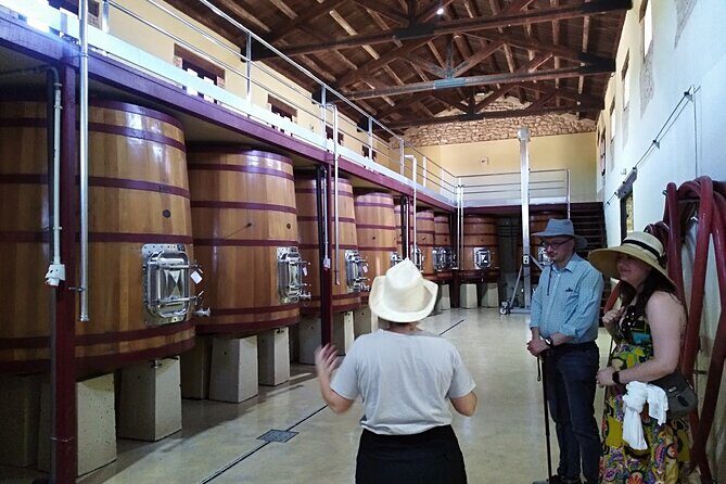 Requena Half-Day Private Vineyards & Premium Wine Tastings Tour - Exploring the Requena Region: A Practical Guide