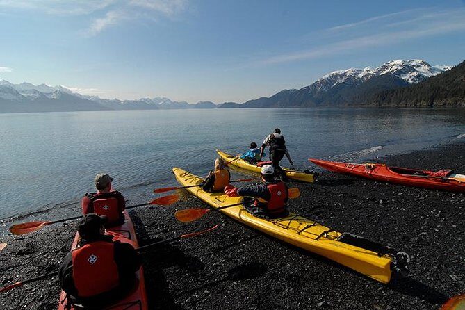 Resurrection Bay Kayaking Adventure - A Deep Dive into the Resurrection Bay Kayaking Tour
