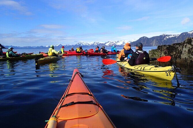 Resurrection Bay Waterfall And Rainforest Adventure - A Closer Look at the Resurrection Bay Waterfall And Rainforest Adventure