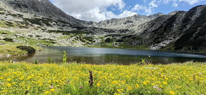 Retezat National Park: Full day hike from Cluj Napoca - Exploring Retezat National Park: An Authentic Mountain Adventure