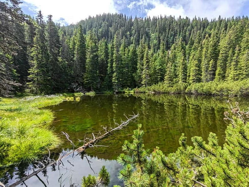 Retezat National Park: Full day hike from Cluj Napoca - The Sum Up: Who Will Love This Day Trip?