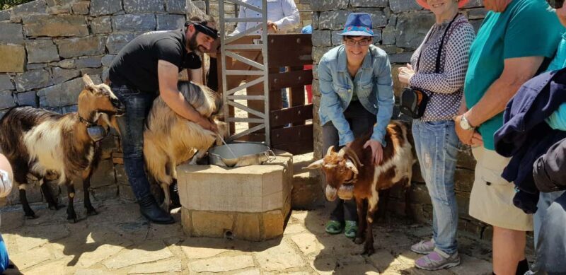 Rethymno Bal & Panormo:Cretan Experience TourSpecial Lunch - Exploring the Itinerary: A Deep Dive into the Day