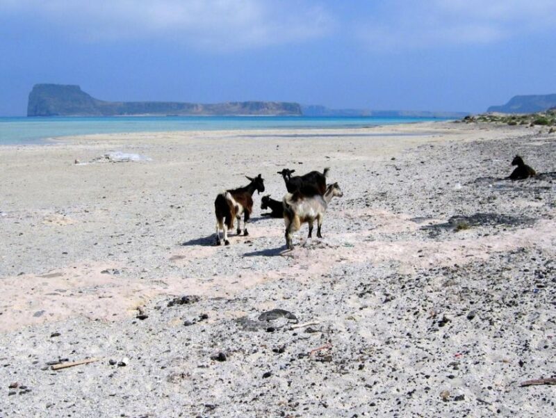 Rethymno: Gramvousa & Balos Lagoon Day Trip with Boat Ticket - Why This Tour Is Worth Considering