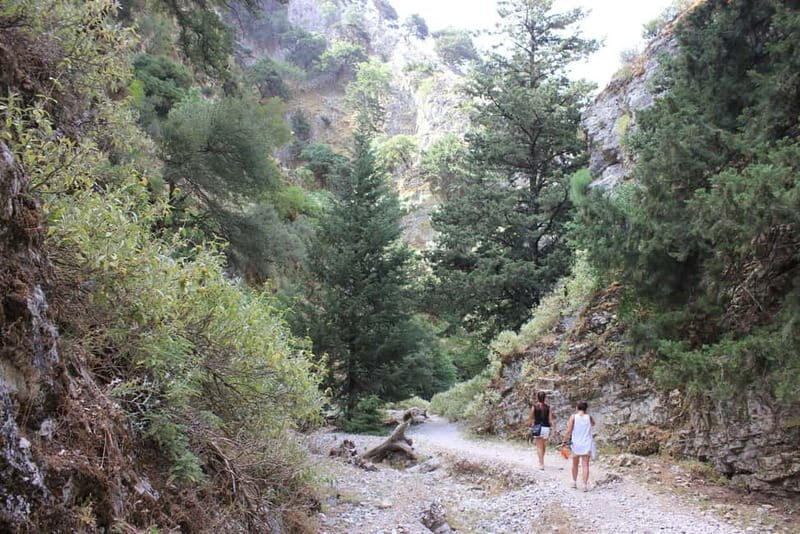 Rethymno: Imbros Gorge and Frangokastello Beach Hiking Tour - Who Will Love This Tour?