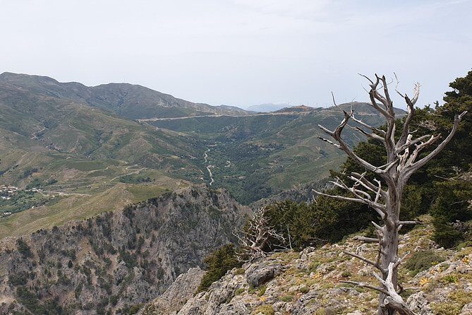 Rethymno Land Rover Safari with Lunch and Drinks - FAQs