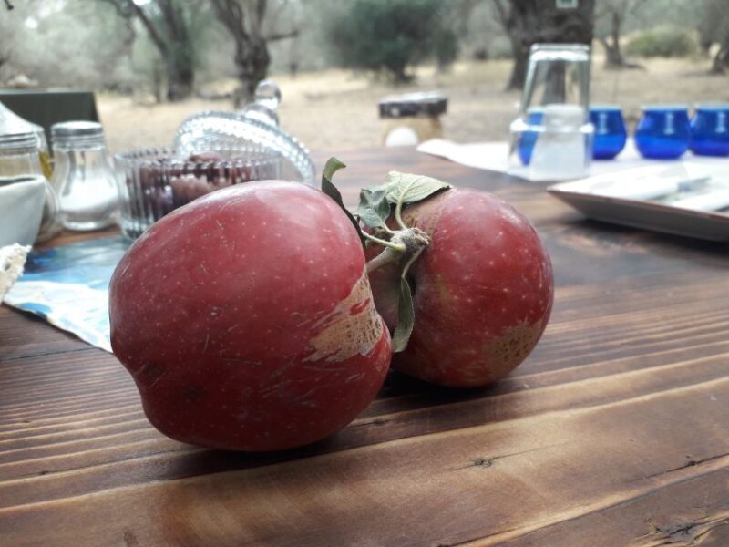 Rethymno: Olive Oil Tasting with Cretan Food Pairing - Final Thoughts
