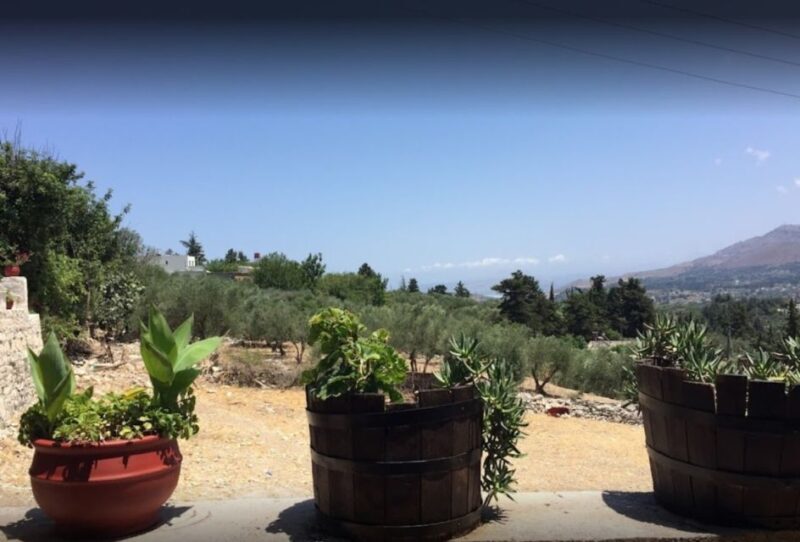 Rethymno: Private Winery & Olive Oil Tasting Tour with Lunch - Who Is This Tour Best For?