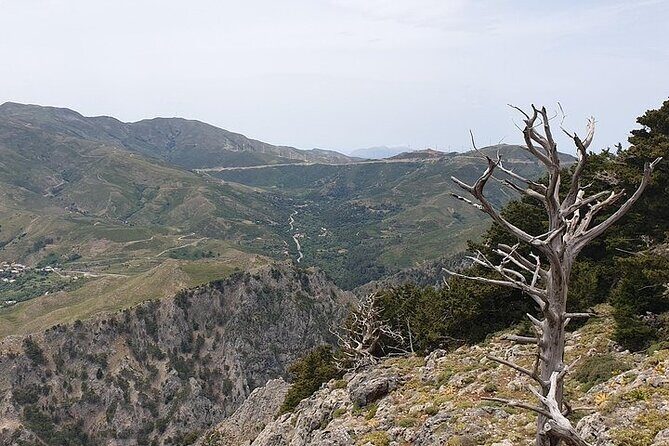 Rethymno Tour - VIP Private Tour - Final Thoughts