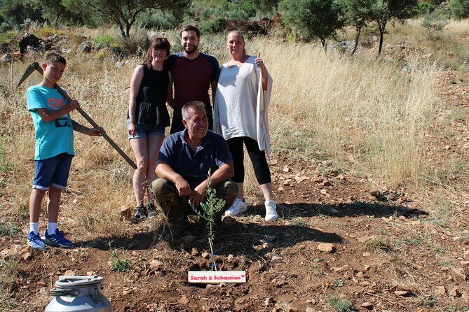 Rethymnon Olive Tree Sponsorship Protect and Plant Tour - Key Points