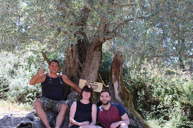 Rethymnon Olive Tree Sponsorship Protect and Plant Tour - Who Should Consider This Tour?