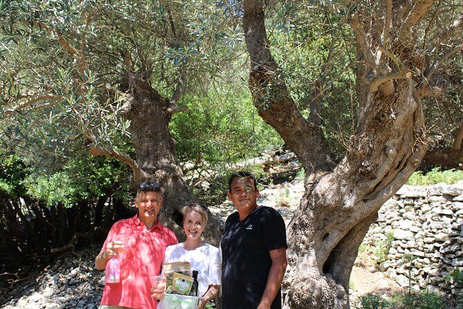 Rethymnon Olive Tree Sponsorship Protect and Plant Tour - FAQs
