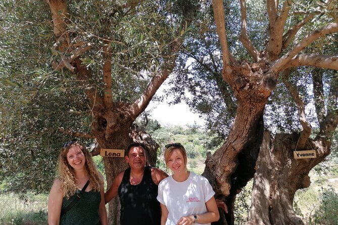 Rethymnon Olive Tree Sponsorship Protect and Plant Tour - Final Thoughts