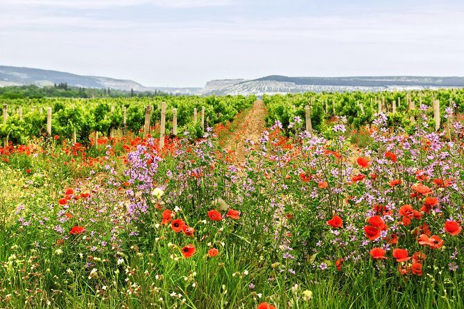 Retsina Wine - Create your private Athens Wine Tour - Tasting and Food Pairings