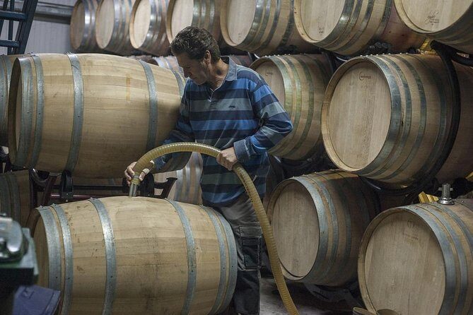 Retsina Wine - Create your private Athens Wine Tour - Who Should Consider This Tour?