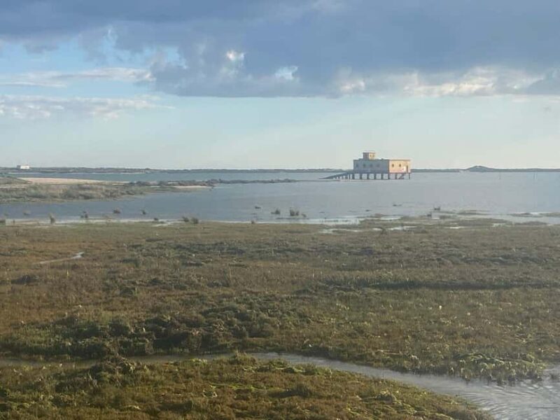 Return bike tour from Tavira to Olhão - Why This Tour Offers Great Value