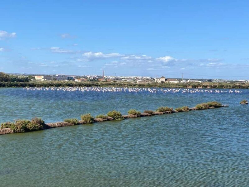 Return bike tour from Tavira to Olhão - A Deep Dive into the Experience