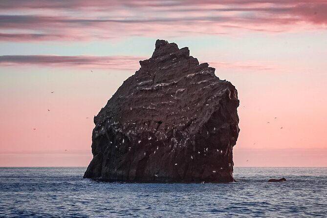 Reykjanes Peninsula Private tour Iceland - A Detailed Look at the Reykjanes Peninsula Private Tour