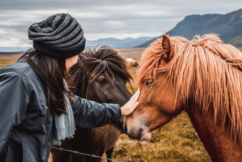 Reykjavík: 5-Day Northern Lights Hunt & Glacier Lagoon Tour - Key Points