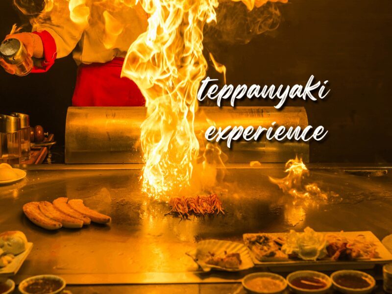 Reykjavík: 7-Course Teppanyaki Tasting Menu with Fire Show - Who Should Consider This Experience?
