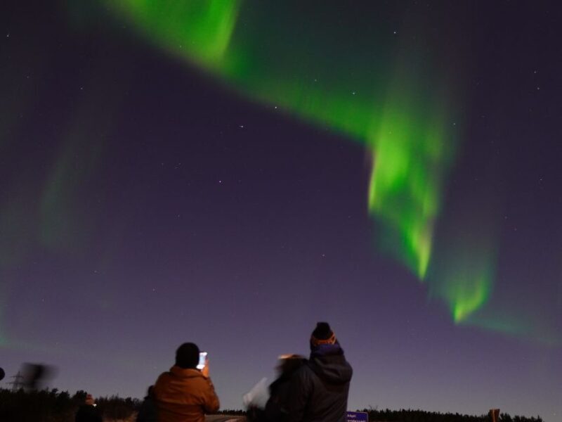 Reykjavik: Aurora Minibus w/ Pro Photos & Free Retry - Who Should Book This Tour?