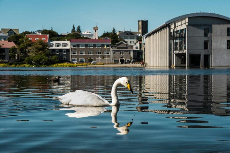 Reykjavík & Blue Lagoon Private Tour - Who Should Consider This Tour?