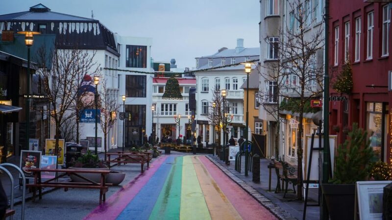Reykjavík & Blue Lagoon Private Tour - FAQ