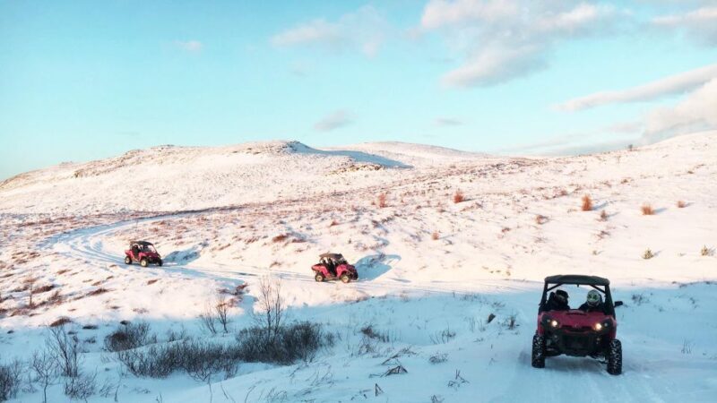Reykjavik: Buggy Safari Tour with Hotel Transfers - A Deep Dive into the Reykjavik Buggy Safari