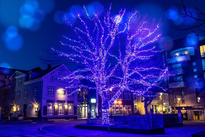 Reykjavik Christmas Walking Tour - Final Thoughts