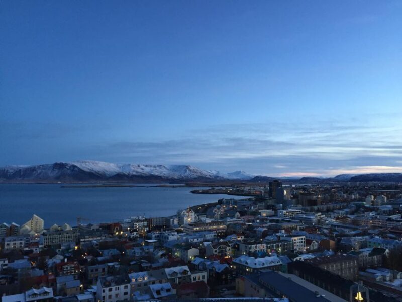 Reykjavik City - Half Day Private Tour - Exploring Reykjavik with a Private Guide