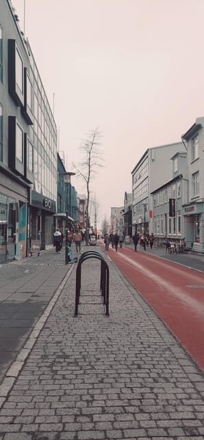 Reykjavik City private tour: Hallgrímskirkja, Perlan & More! - Practical Details and Tips