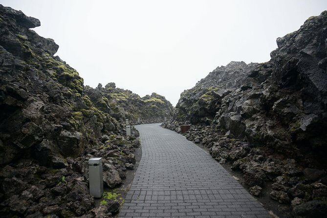 Reykjavik Excursion & Blue Lagoon. Private Day Tour - Who Would Love This Tour?