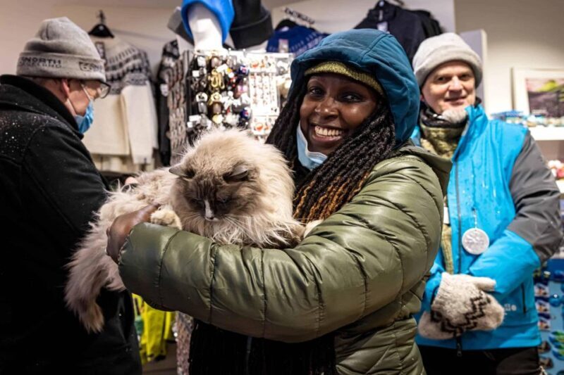 Reykjavik: Feline-Focused City Walking Tour - A Detailed Look at the Reykjavik Feline-Focused Walking Tour